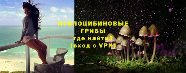 PSILOCYBIN Алексин