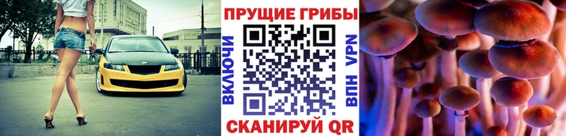 как найти наркотики  kraken ТОР  Галлюциногенные грибы мухоморы  Сосновка 